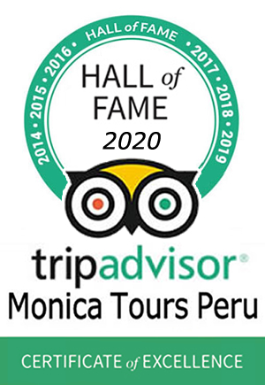 TripAdvisor